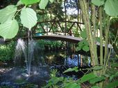 img-0055.jpg