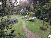 img-0350.jpg