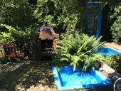 img-0444.jpg