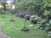 img-6380.jpg