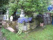 img-6569.jpg