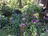 ipad-19-05-2015-102.jpg