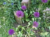 ipad-19-05-2015-111.jpg