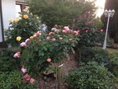 iphone-17-06-2015-249.jpg