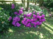 i-phone-29062013-119.jpg