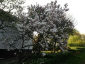 mw-iphone-06052013-194.jpg