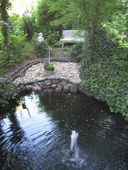 k-img-6384.jpg