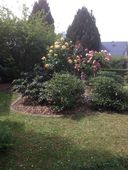 k-iphone-17-06-2015-259.jpg