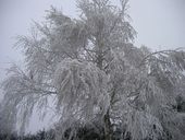x02-img-0004.jpg