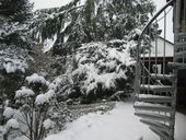 x12-img-5040.jpg