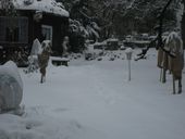 x16-img-5054.jpg
