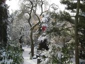 x32-garten-weihnachtskugel.jpg