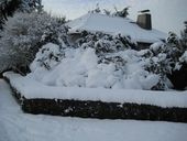 x33-img-3017.jpg