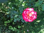ipad-14-09-2015-026.jpg