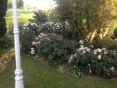 iphone-17-06-2015-109.jpg
