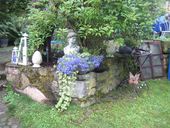 img-6569.jpg