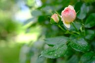 dscf6222.jpg