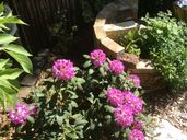 img-2072.jpg