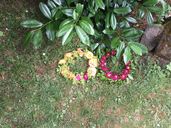 img-6518.jpg