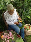 garte-2018-1.jpg