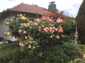 img-7228.jpg