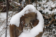 a00-winterliebe.jpg