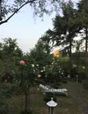 b7-ballone-garten.jpg