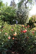 image024.jpg