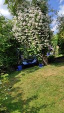 image029-1.jpg